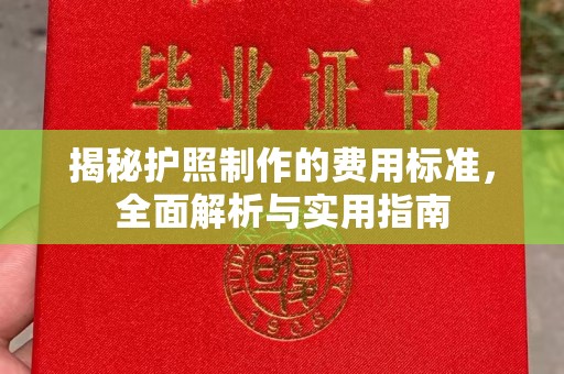 裕安揭秘护照制作的费用标准，全面解析与实用指南