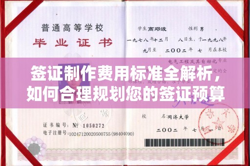 裕安签证制作费用标准全解析，如何合理规划您的签证预算？